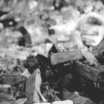 Coroa em Vez de Cinzas: A Profundidade da Transformação em Cristo
