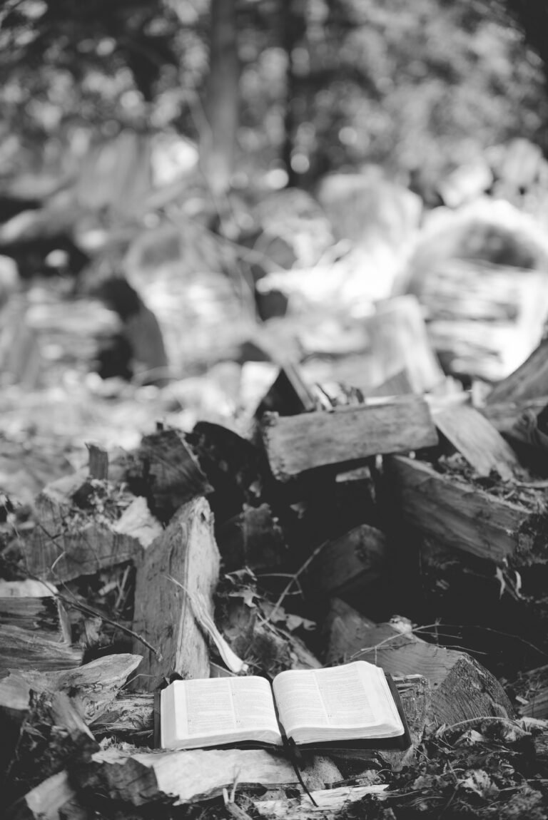 Coroa em Vez de Cinzas: A Profundidade da Transformação em Cristo